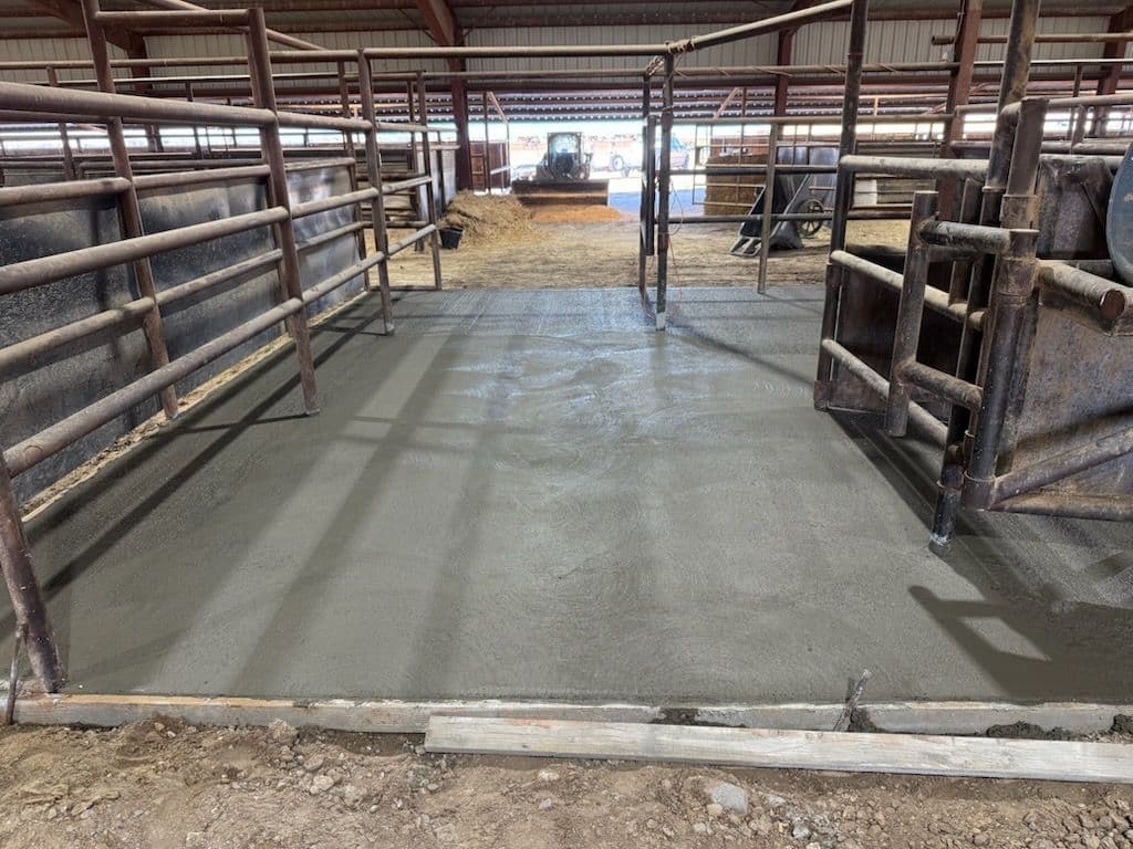 Concrete Flooring for Livestock Pen image