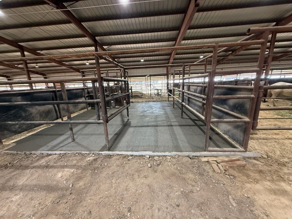 Gallery photos for Concrete Flooring for Livestock Pen: Image #1